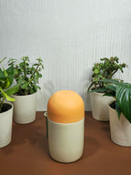 580ml Printed Insulated Food Container with Snack Bowl