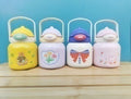 700ml Chubby Insulated Bottle with Handle & Cute Print