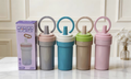 900ml Insulated Straw Bottle with Ring Handle