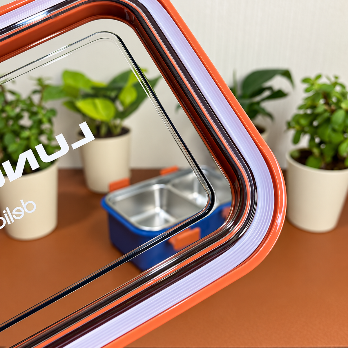 800ml lunch box lid detail