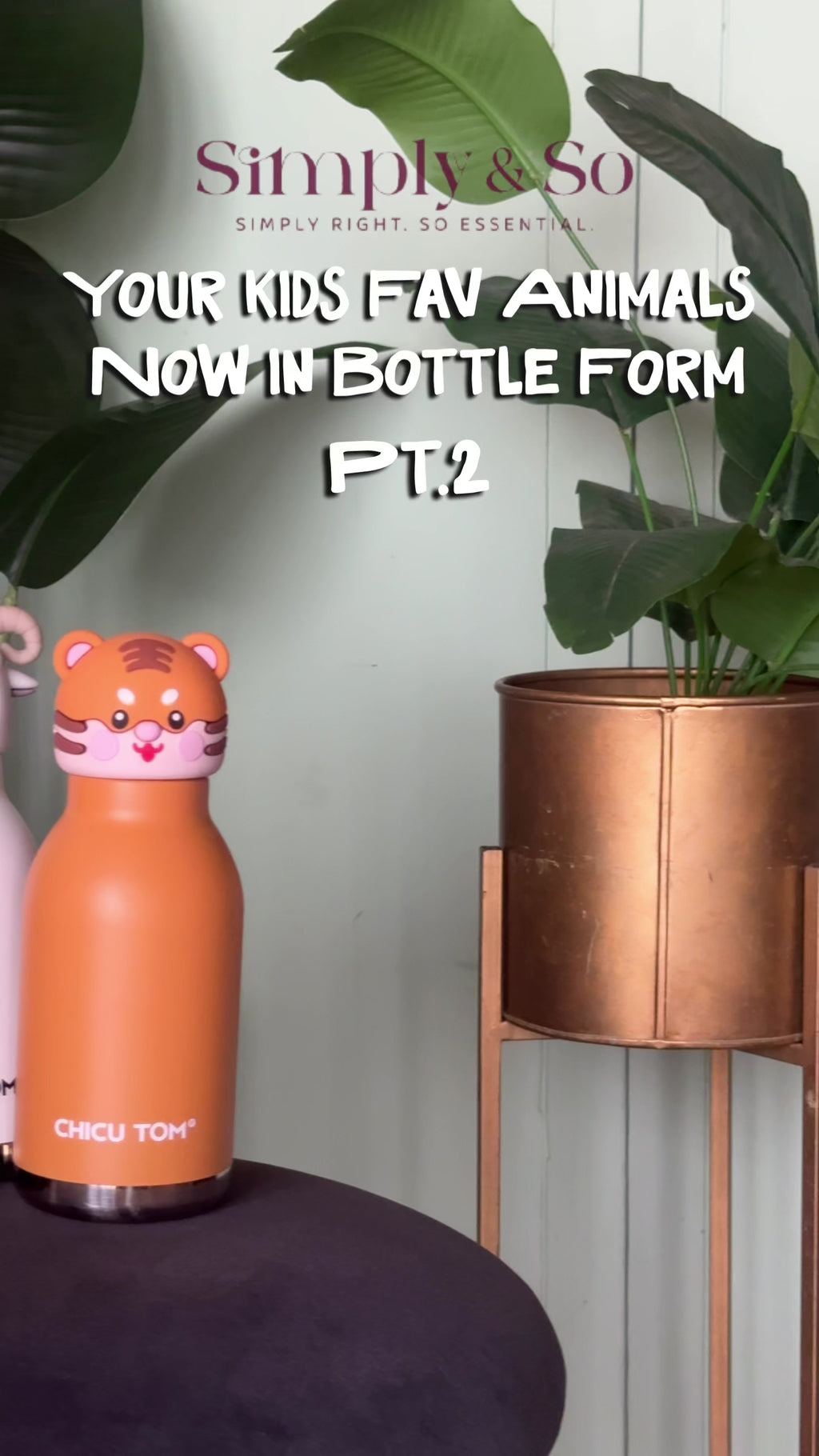 3D Animal Bottles